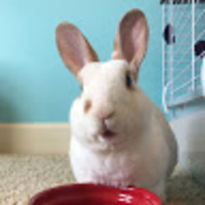 Meet your Posher, Annalucia